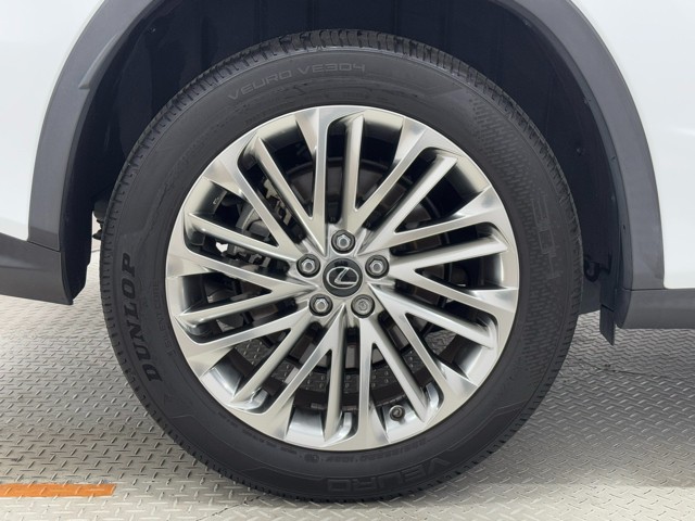 レクサス RX300 F SPORT