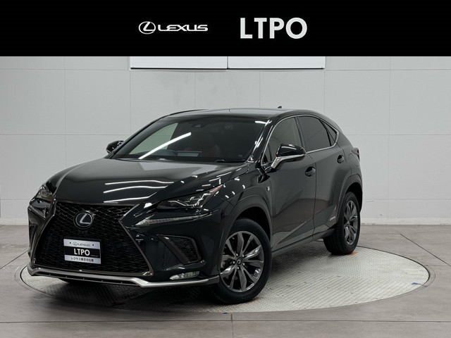 NX300h F SPORT