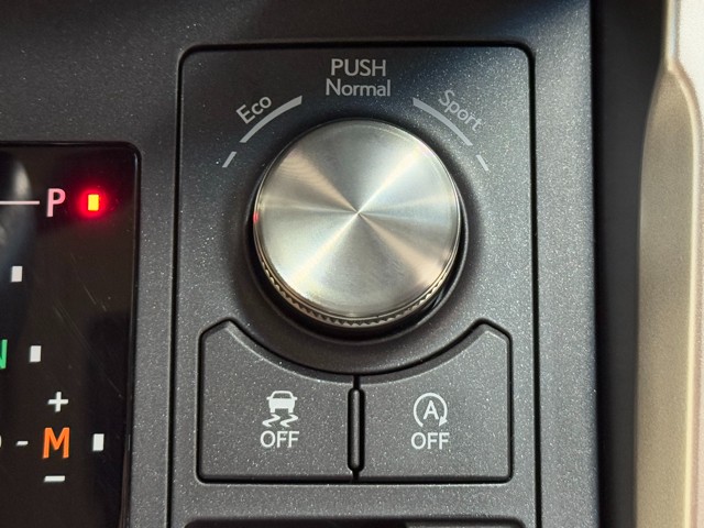 レクサス NX300 Iパッケージ