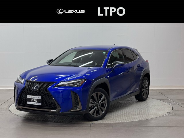 UX250h F SPORT