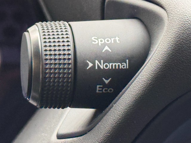 レクサス UX250h F SPORT