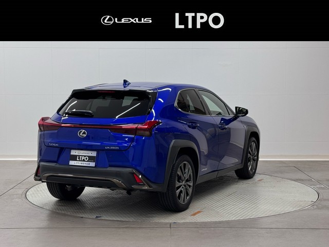レクサス UX250h F SPORT