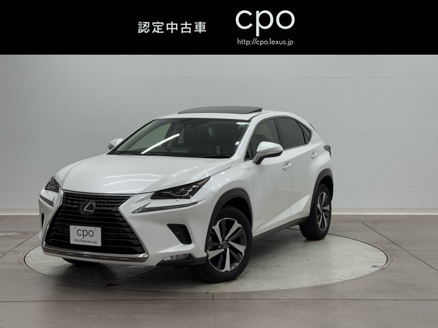 NX300 バージョンL