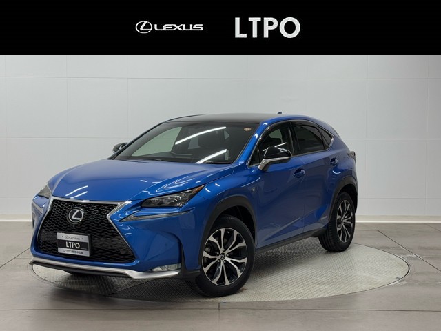 NX300h F SPORT