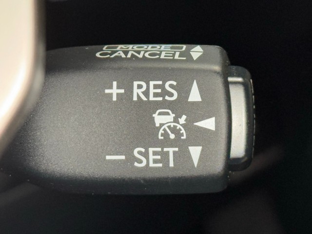 レクサス RC300h VER-L