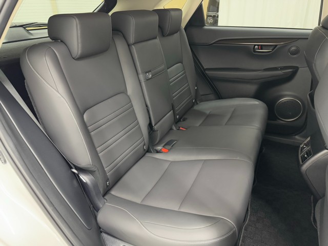 レクサス NX300h I-PKG