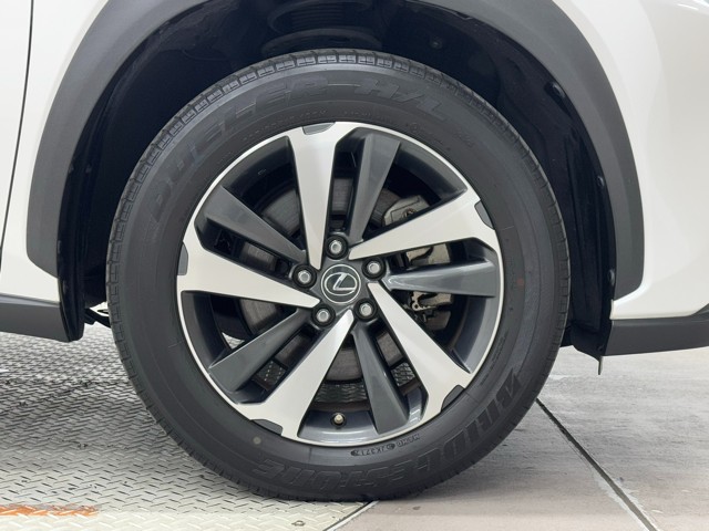 レクサス NX300h I-PKG