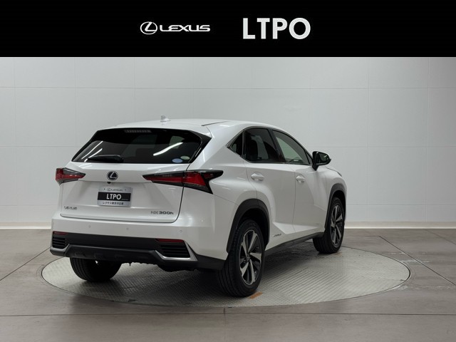 レクサス NX300h I-PKG