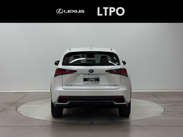 レクサス NX300h I-PKG