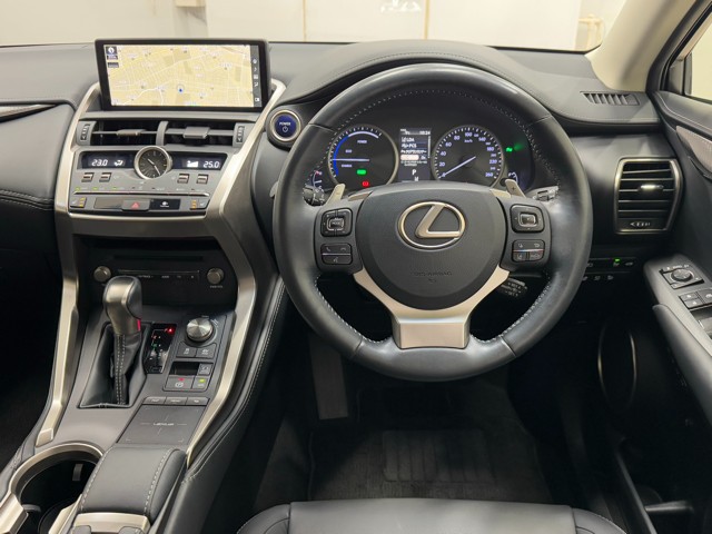 レクサス NX300h I-PKG