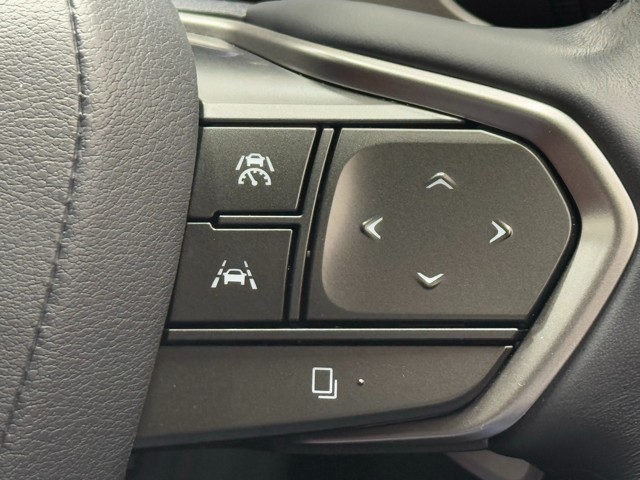 レクサス NX250 バージョンL