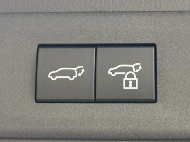 レクサス NX250 バージョンL