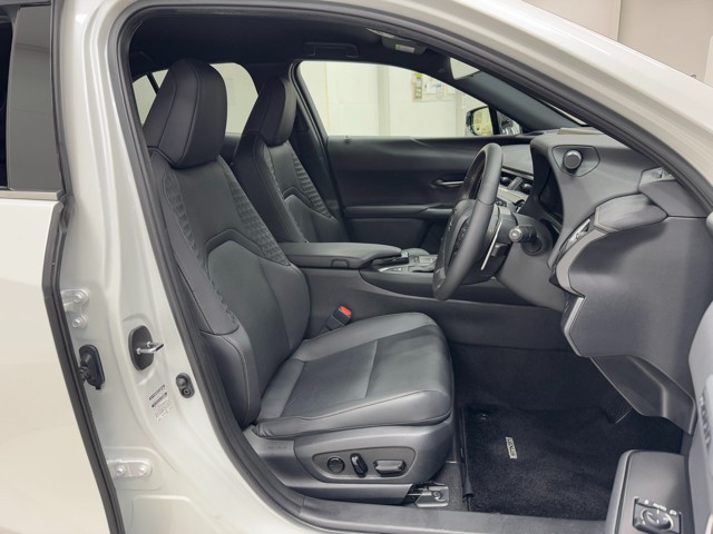 レクサス UX250h ElegantBlack