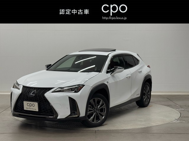 UX250h FSPORT