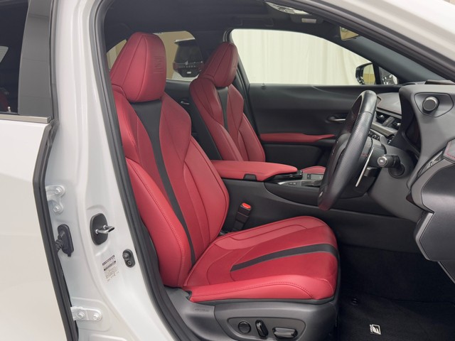 レクサス UX250h FSPORT