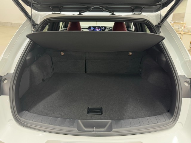 レクサス UX250h FSPORT