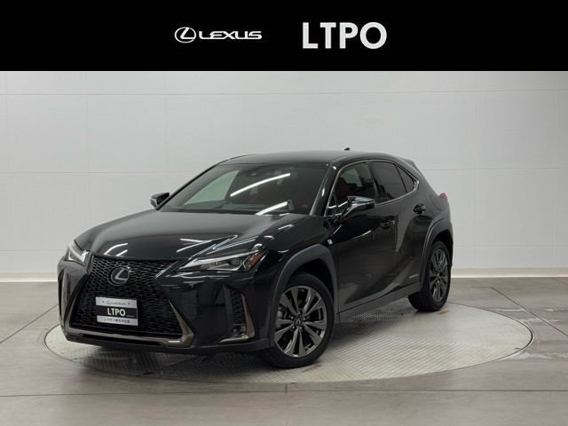 UX250h F SPORT