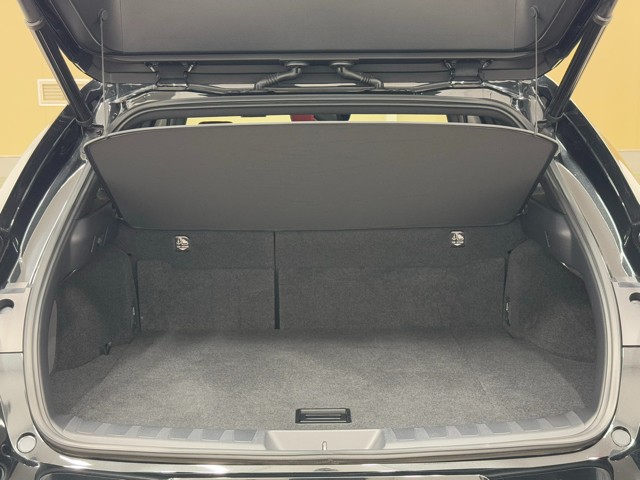 レクサス UX250h F SPORT