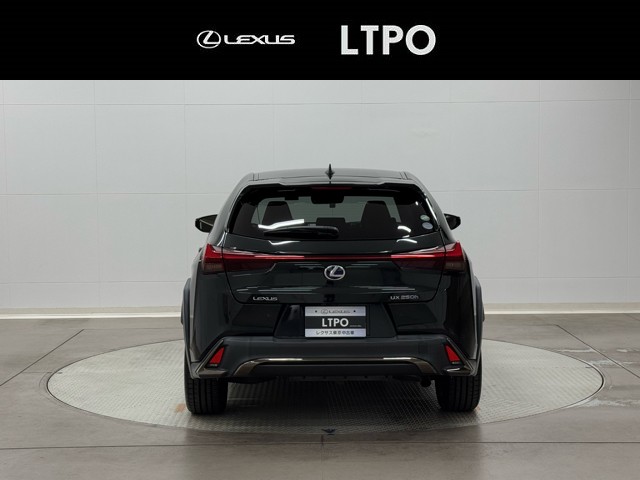 レクサス UX250h F SPORT