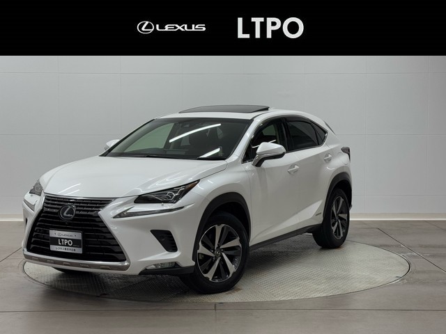 NX300h バージョンL