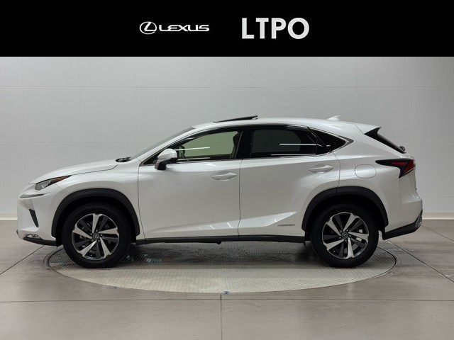 レクサス NX300h バージョンL
