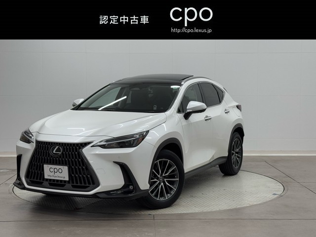 NX250