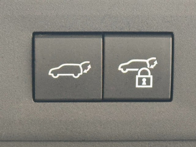 レクサス NX350h F SPORT