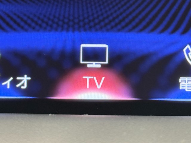 レクサス RX300 Fスポーツ