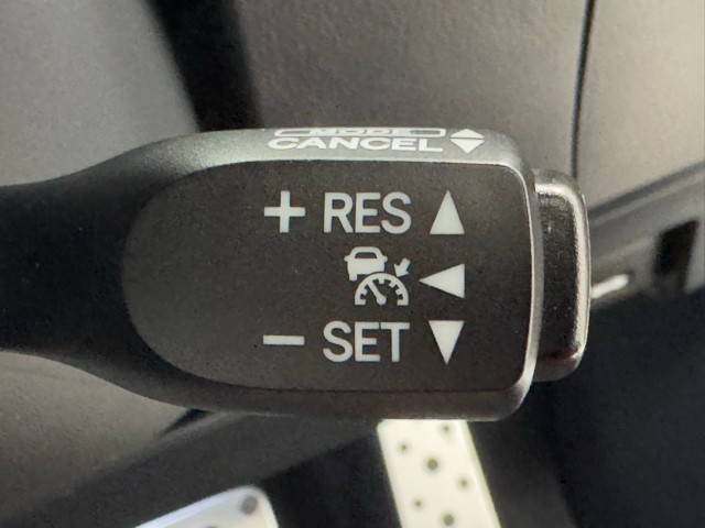 レクサス RX300 Fスポーツ