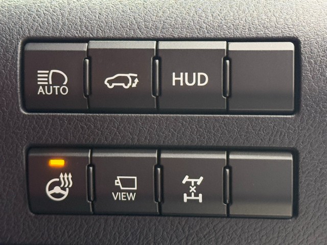 レクサス RX300 Fスポーツ