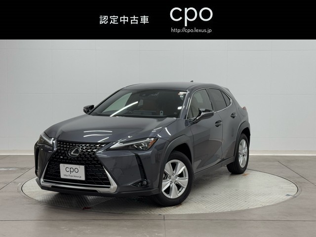 UX250h バージョンC