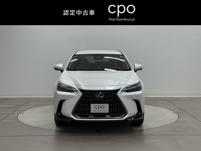 レクサス NX250 バージョンL