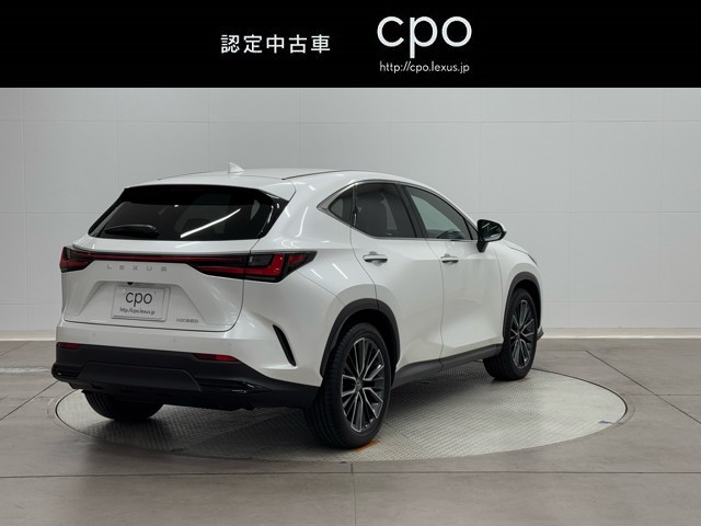 レクサス NX250 バージョンL