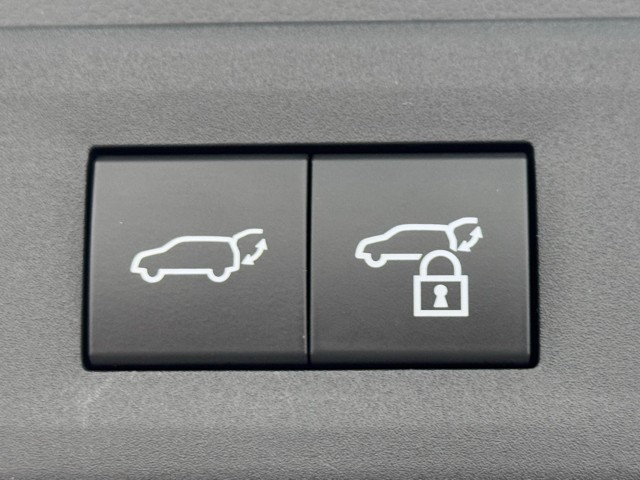 レクサス NX450h+ Fスポーツ