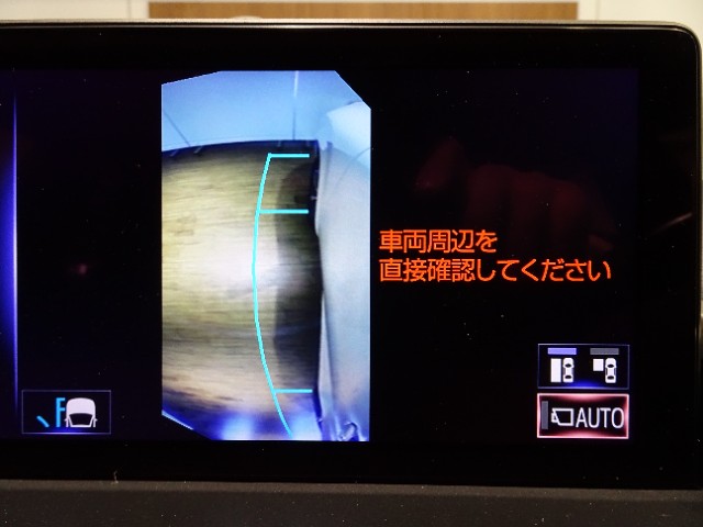 レクサス NX300 Spice&Chic