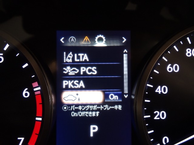 レクサス NX300 Spice&Chic