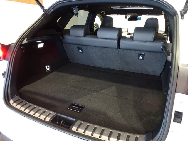 レクサス NX300 Spice&Chic