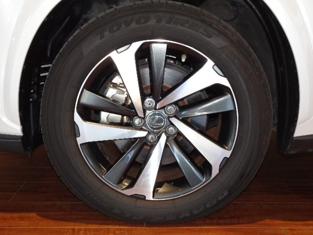 レクサス NX300 Spice&Chic