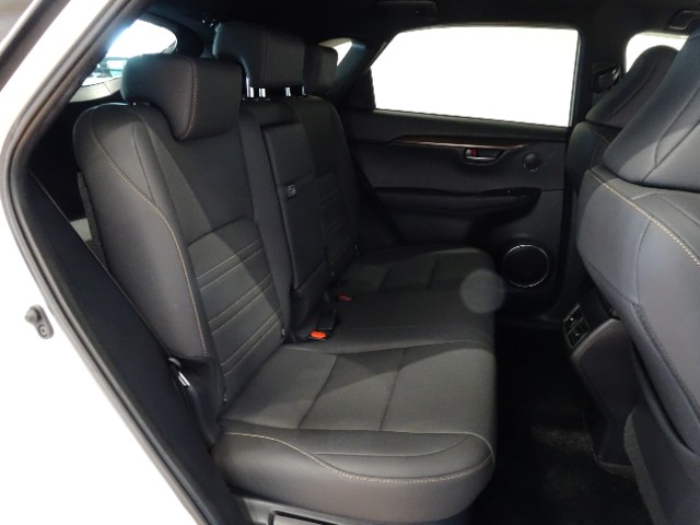 レクサス NX300 Spice&Chic