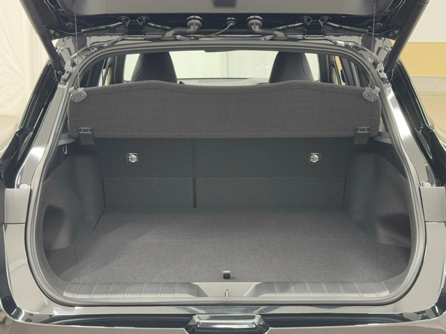 レクサス LBX MRIZO RR