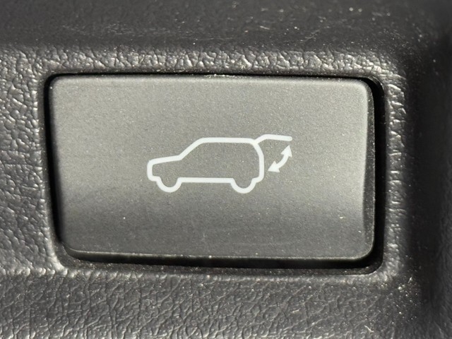 レクサス UX250h F SPORT