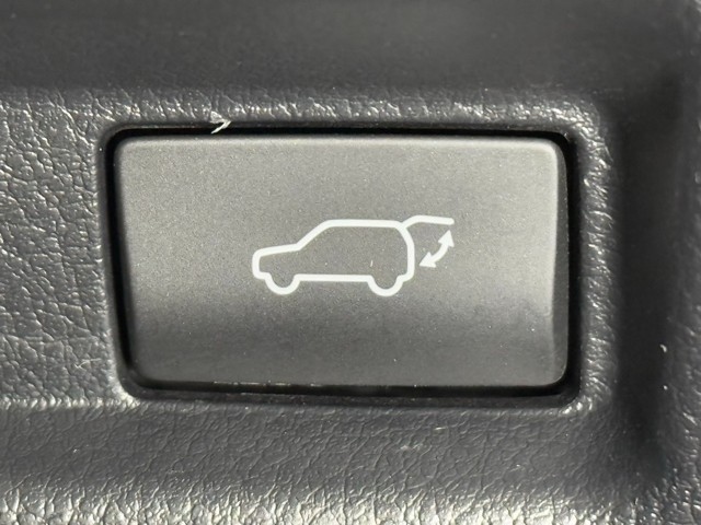 パワーバックドアも装備