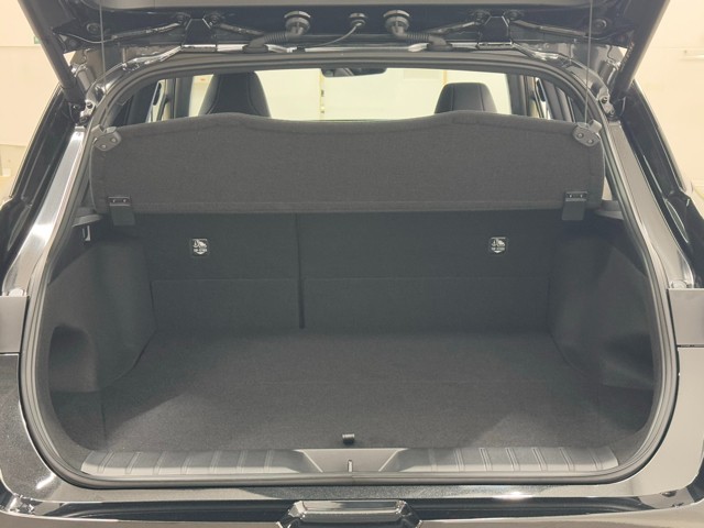 レクサス LBX MORIZO RR