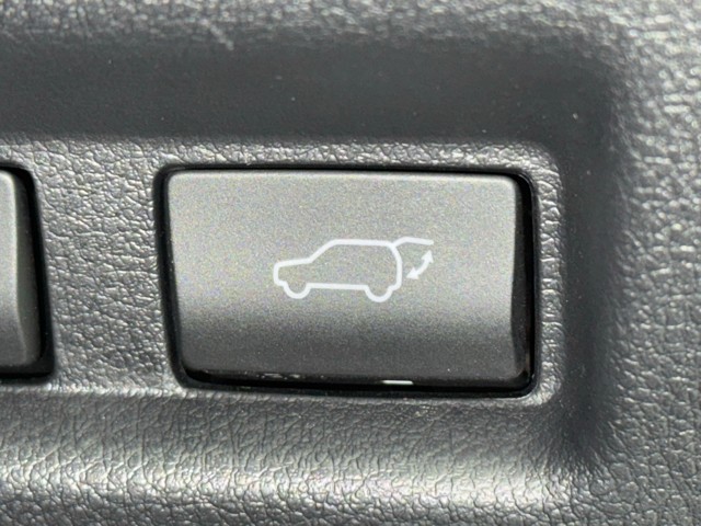 レクサス UX300h Fスポーツエモーショナル