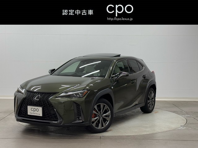 UX250h F SPORT