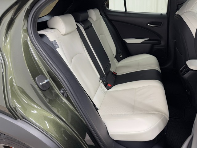 レクサス UX250h F SPORT