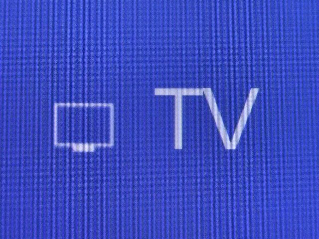 レクサス NX250 VER L