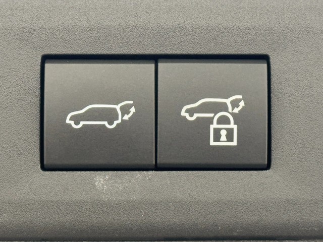 レクサス NX250 VER L