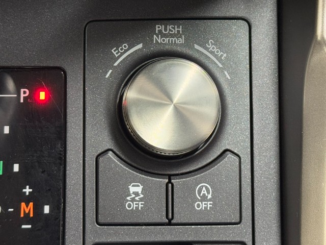 レクサス NX300 version L