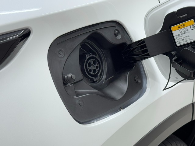 レクサス NX450h+ version L
